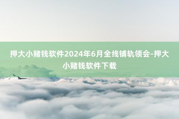 押大小赌钱软件2024年6月全线铺轨领会-押大小赌钱软件下载