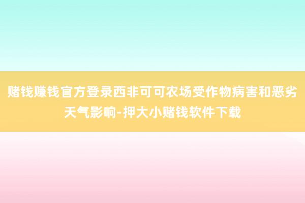 赌钱赚钱官方登录西非可可农场受作物病害和恶劣天气影响-押大小赌钱软件下载