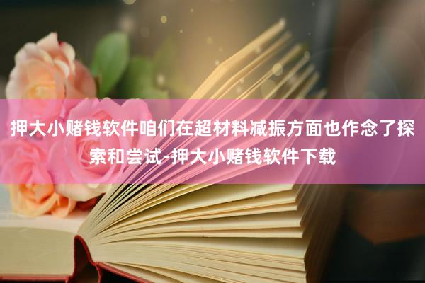 押大小赌钱软件咱们在超材料减振方面也作念了探索和尝试-押大小赌钱软件下载