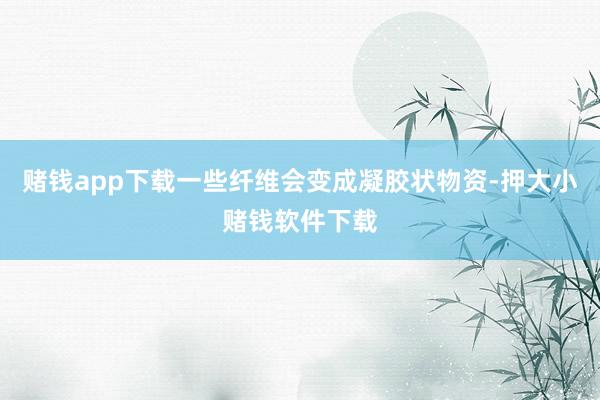 赌钱app下载一些纤维会变成凝胶状物资-押大小赌钱软件下载
