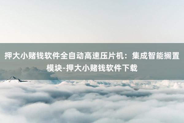 押大小赌钱软件全自动高速压片机：集成智能搁置模块-押大小赌钱软件下载