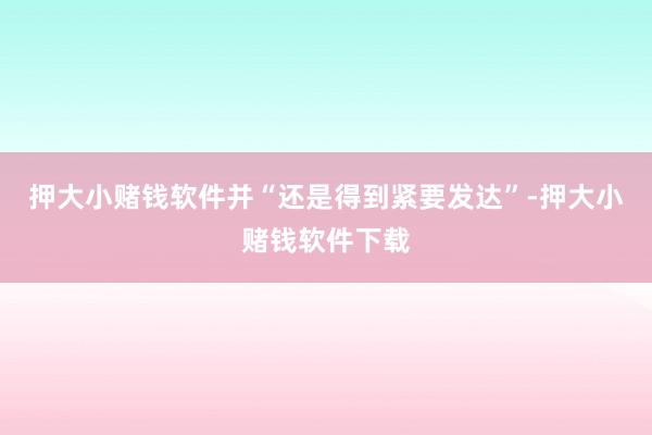 押大小赌钱软件并“还是得到紧要发达”-押大小赌钱软件下载