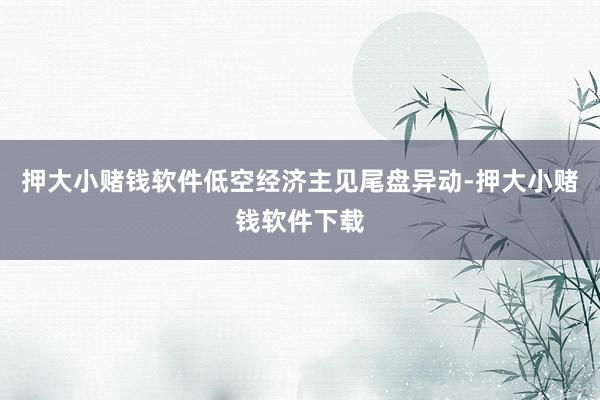 押大小赌钱软件　　低空经济主见尾盘异动-押大小赌钱软件下载