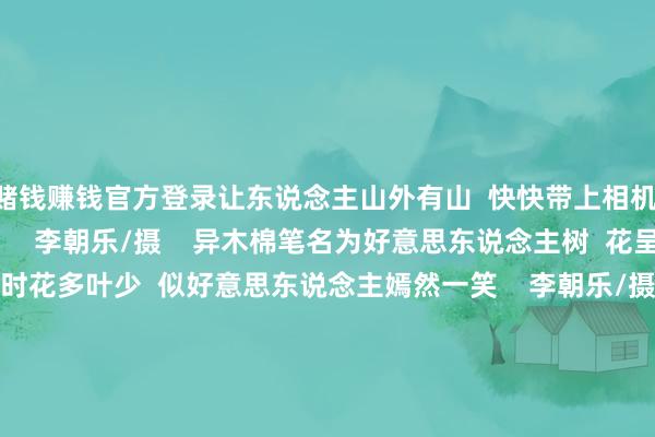 赌钱赚钱官方登录让东说念主山外有山  快快带上相机  刷爆一又友圈吧！      李朝乐/摄    异木棉笔名为好意思东说念主树  花呈粉紫红色  怒放时花多叶少  似好意思东说念主嫣然一笑    李朝乐/摄  顺峰猴子园里的异木棉  主要诀别公园  湖心岛、东说念主大林、湿地花海      李朝乐/摄  远瞭望去  一派片粉色的花海  与蓝天白云逸态横生  组成了一幅绝好意思的秋日画卷