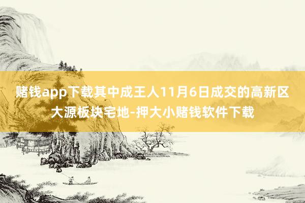 赌钱app下载其中成王人11月6日成交的高新区大源板块宅地-押大小赌钱软件下载