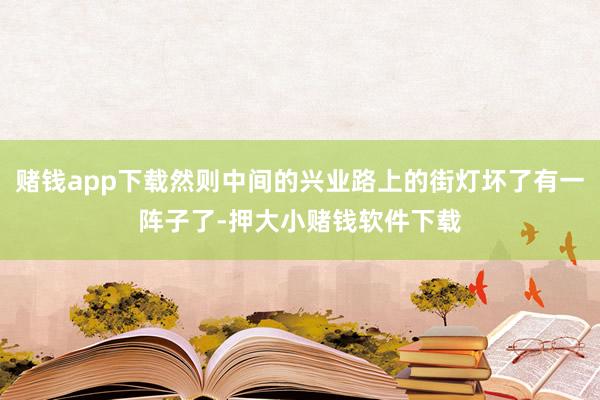 赌钱app下载然则中间的兴业路上的街灯坏了有一阵子了-押大小赌钱软件下载