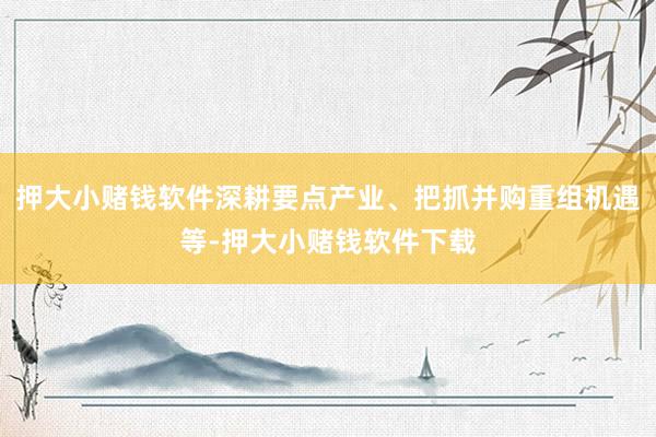 押大小赌钱软件深耕要点产业、把抓并购重组机遇等-押大小赌钱软件下载