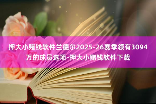 押大小赌钱软件兰德尔2025-26赛季领有3094万的球员选项-押大小赌钱软件下载