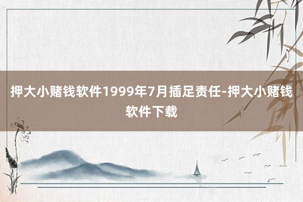 押大小赌钱软件1999年7月插足责任-押大小赌钱软件下载
