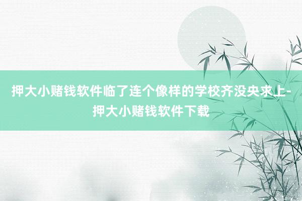 押大小赌钱软件临了连个像样的学校齐没央求上-押大小赌钱软件下载