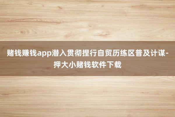 赌钱赚钱app潜入贯彻捏行自贸历练区普及计谋-押大小赌钱软件下载