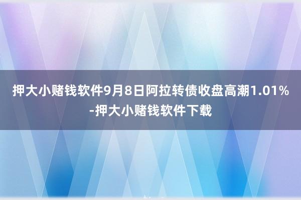 押大小赌钱软件9月8日阿拉转债收盘高潮1.01%-押大小赌钱软件下载