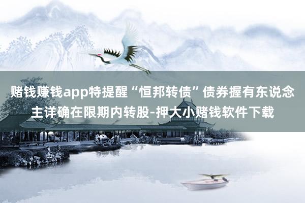 赌钱赚钱app特提醒“恒邦转债”债券握有东说念主详确在限期内转股-押大小赌钱软件下载
