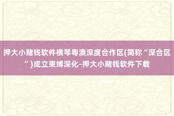 押大小赌钱软件横琴粤澳深度合作区(简称“深合区”)成立束缚深化-押大小赌钱软件下载