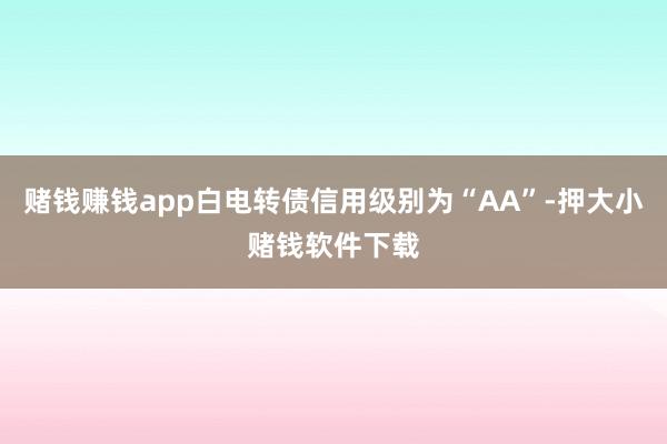 赌钱赚钱app白电转债信用级别为“AA”-押大小赌钱软件下载
