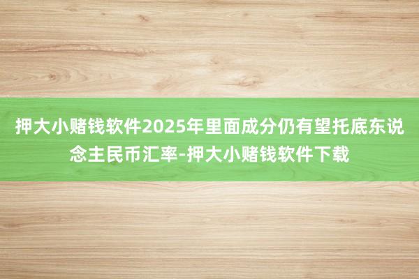 押大小赌钱软件2025年里面成分仍有望托底东说念主民币汇率-押大小赌钱软件下载