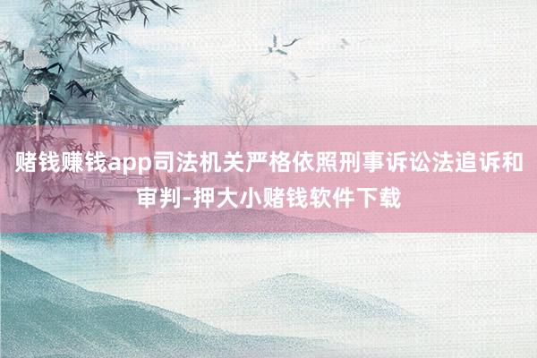 赌钱赚钱app司法机关严格依照刑事诉讼法追诉和审判-押大小赌钱软件下载