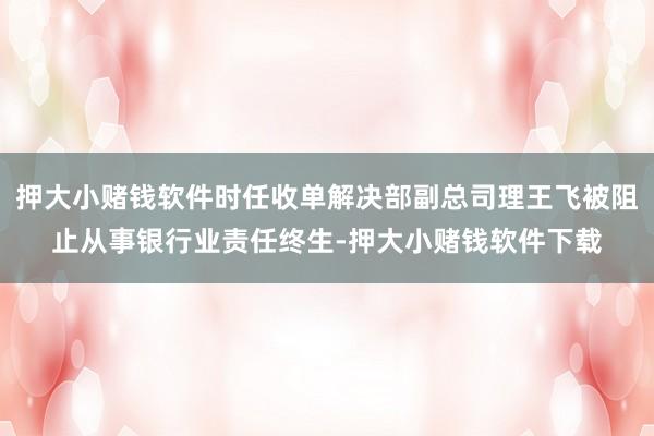 押大小赌钱软件时任收单解决部副总司理王飞被阻止从事银行业责任终生-押大小赌钱软件下载