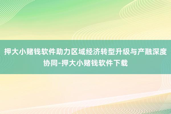 押大小赌钱软件助力区域经济转型升级与产融深度协同-押大小赌钱软件下载
