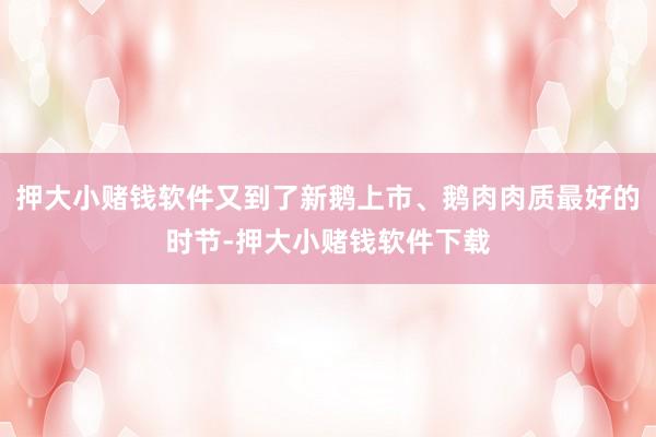 押大小赌钱软件又到了新鹅上市、鹅肉肉质最好的时节-押大小赌钱软件下载
