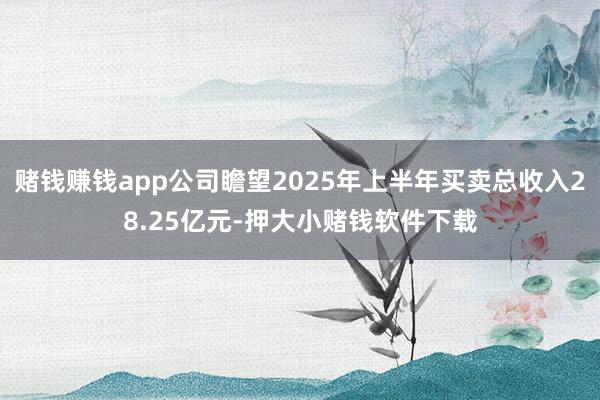 赌钱赚钱app公司瞻望2025年上半年买卖总收入28.25亿元-押大小赌钱软件下载
