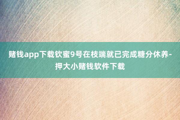 赌钱app下载钦蜜9号在枝端就已完成糖分休养-押大小赌钱软件下载