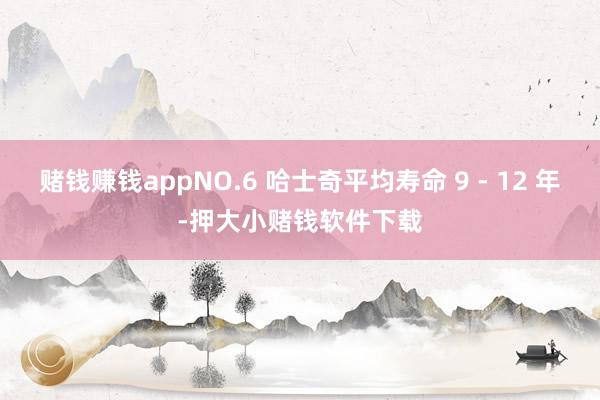 赌钱赚钱appNO.6 哈士奇平均寿命 9 - 12 年-押大小赌钱软件下载