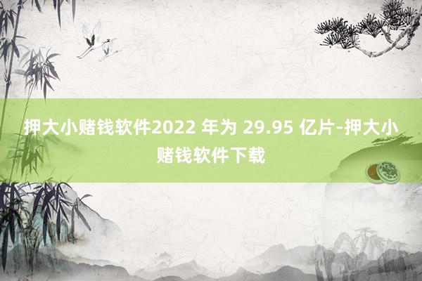 押大小赌钱软件2022 年为 29.95 亿片-押大小赌钱软件下载