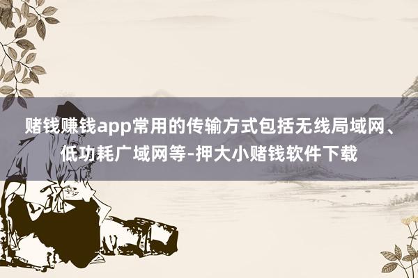 赌钱赚钱app常用的传输方式包括无线局域网、低功耗广域网等-押大小赌钱软件下载
